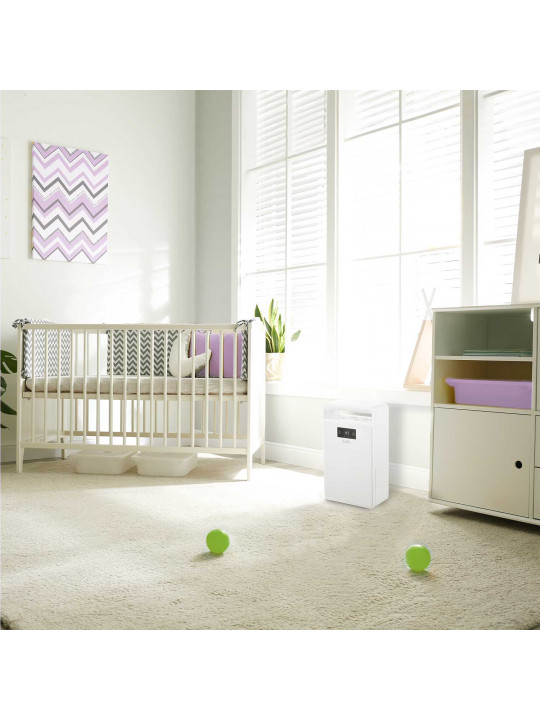 Air dehumidifiers BALLU BD1EL 