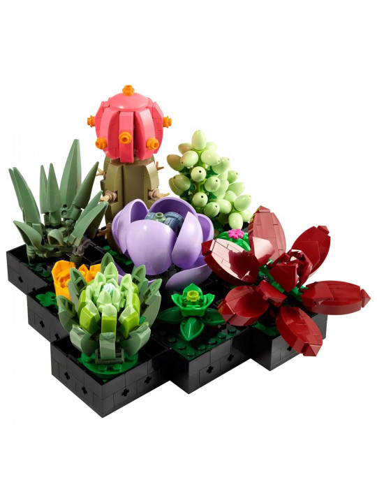 Конструктор LEGO 10309 BOTANICAL COLLECTION ՍՈՒԿՈՒԼԵՆՏՆԵՐ 