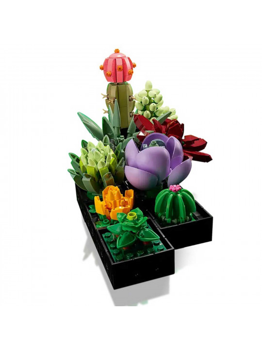 Конструктор LEGO 10309 BOTANICAL COLLECTION ՍՈՒԿՈՒԼԵՆՏՆԵՐ 