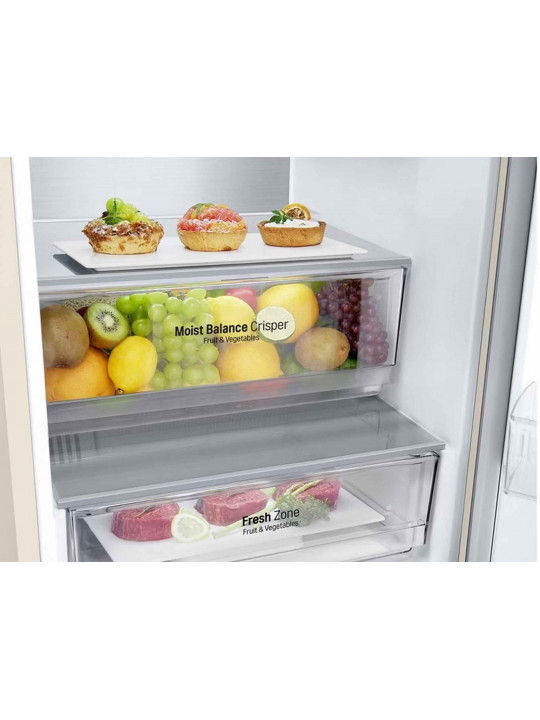 Refrigerator LG GC-B509SESM 