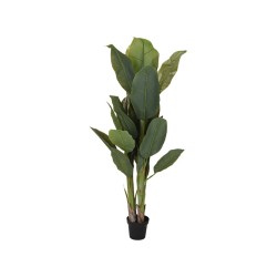 Decorative trees KOOPMAN PLANT IN POT 165CM (963830) (318000690)
