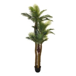Decorative trees KOOPMAN ARTIFICIAL PALM TREE 300CM (476231) (318000170)