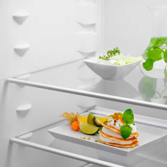 Refrigerator built in ELECTROLUX ENT6NE18S 