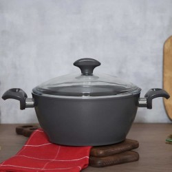 Casserols FALEZ SRT1005 SERAFIT 22CM 