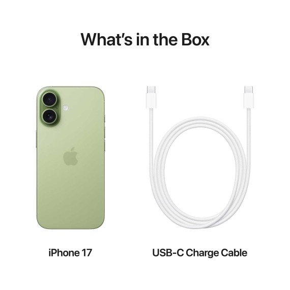 Смартфон APPLE iPhone 17 256GB (Sage) (A3520) (MG6N4HX/A)