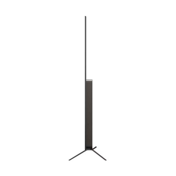 Հեռուստացույց LG OLED65B5RLA 