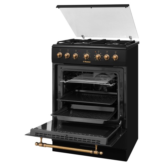 Газовая плита HANSA FCMA68109 