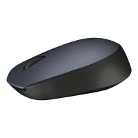 Компьютерные мыши LOGITECH M170 (GREY) (910-004642)