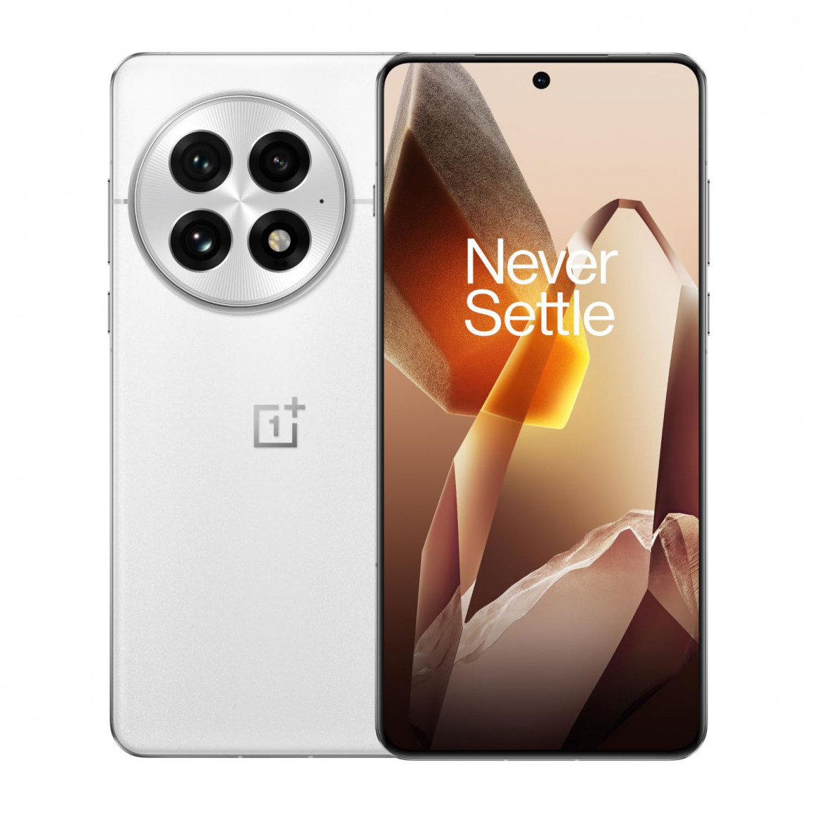 Smart phone ONEPLUS 13 16GB 512GB (Arctic Down) (CPH2653) (5011110325)
