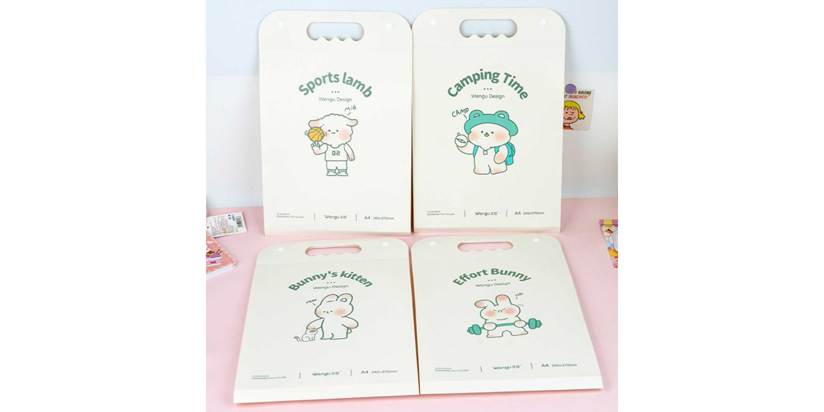 Stationery accessories XIMI 6941963933582 FOLDER (933582)
