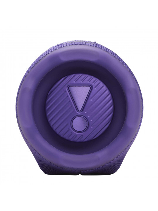 Bluetooth բարձրախոս JBL Charge 6 (Purple) 