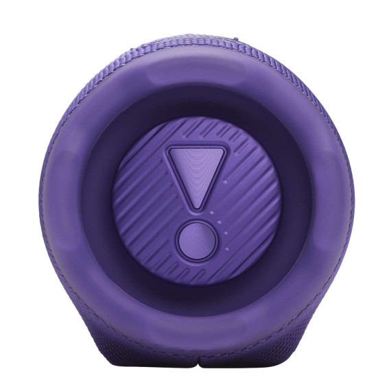 Bluetooth speaker JBL Charge 6 (Purple) 