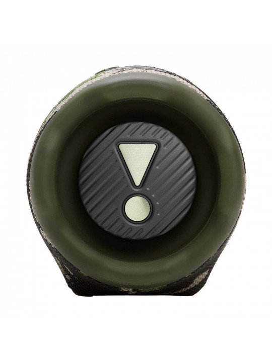 Bluetooth speaker JBL Charge 6 (Squad) 