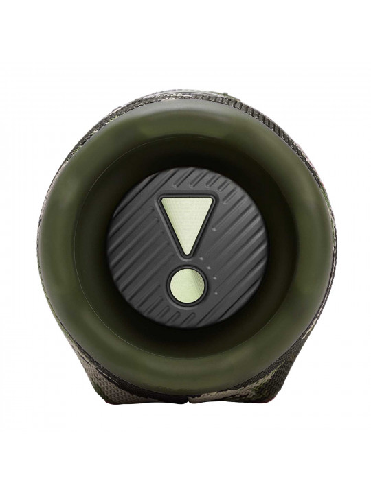 Bluetooth speaker JBL Charge 6 (Squad) 