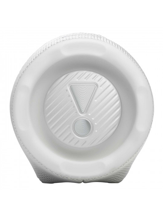 Bluetooth բարձրախոս JBL Charge 6 (White) 