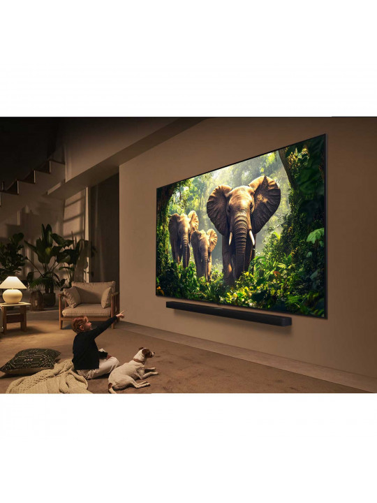 Tv LG 55QNED86A6A 