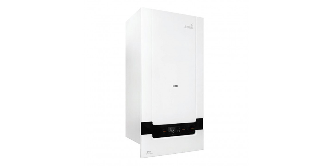 Gas boiler SQUIRREL L1-DD24 WITHOUT FLUE PIPE 
