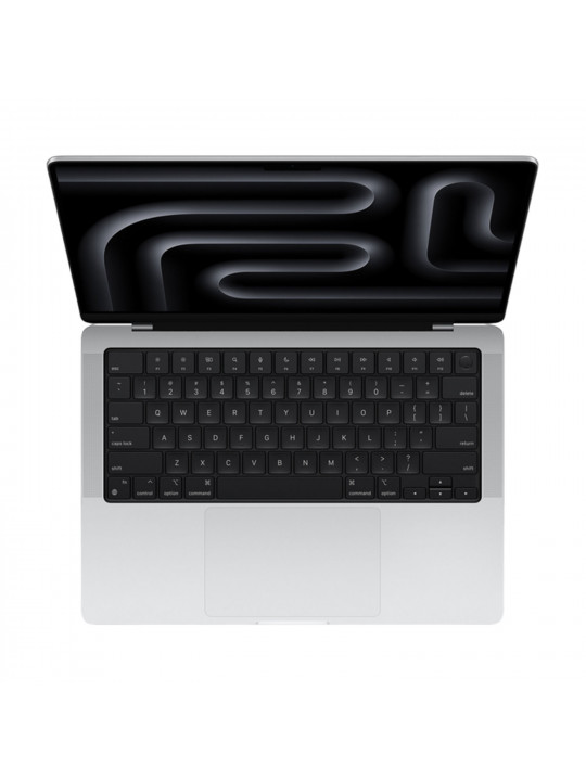 Notebook APPLE MacBook Pro 14.2 (Apple M4) 16GB 512GB (Silver) (MW2W3RU/A)