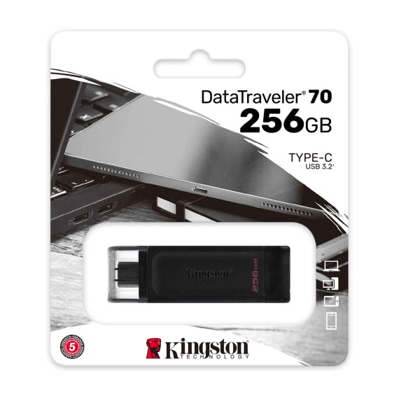 Флеш накопители KINGSTON DT70/256GB 