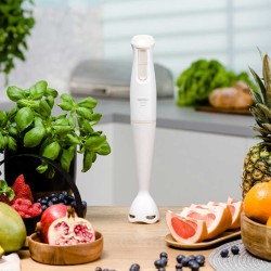 Hand blender ZELMER ZHB4560I 