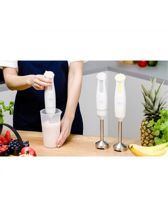 Ձեռքի բլենդեր ZELMER ZHB4561L 