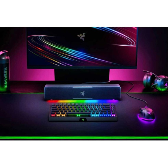Компьютерные динамики RAZER Leviathan V2 X (Black) (RZ05-04280100-R3M1)