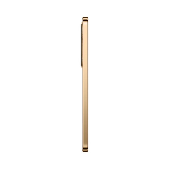 Սմարթ հեռախոս HONOR X9d 5G MTN-NX1 12GB 256GB (Reddish Brown) (5109BYPX)