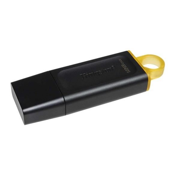 Ֆլեշ հիշողություններ KINGSTON DTX/128GB 