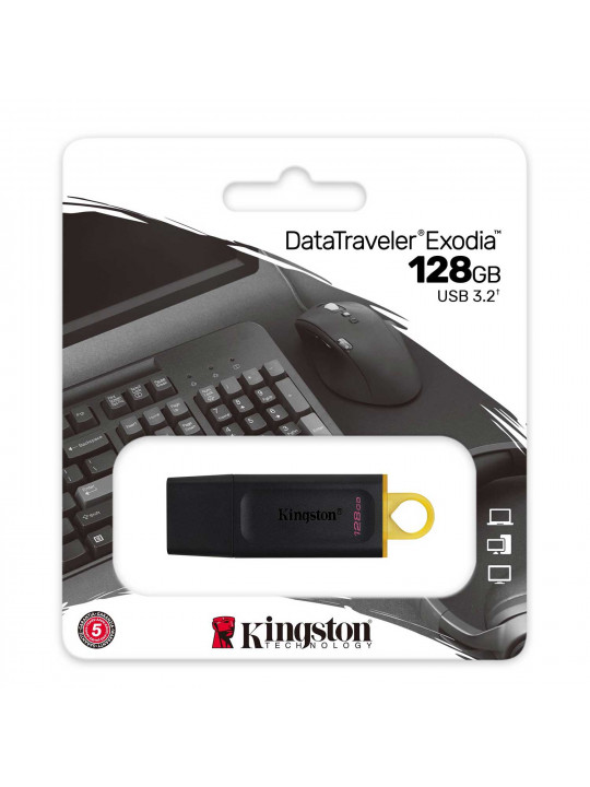 Flash drive KINGSTON DTX/128GB 
