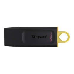 Флеш накопители KINGSTON DTX/128GB 
