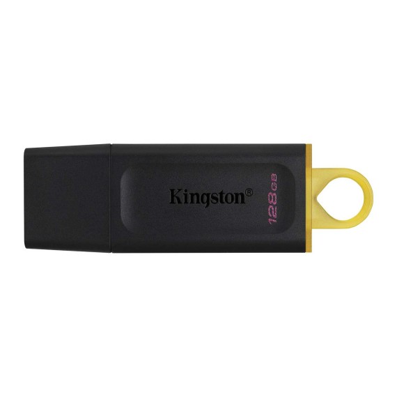 Ֆլեշ հիշողություններ KINGSTON DTX/128GB 