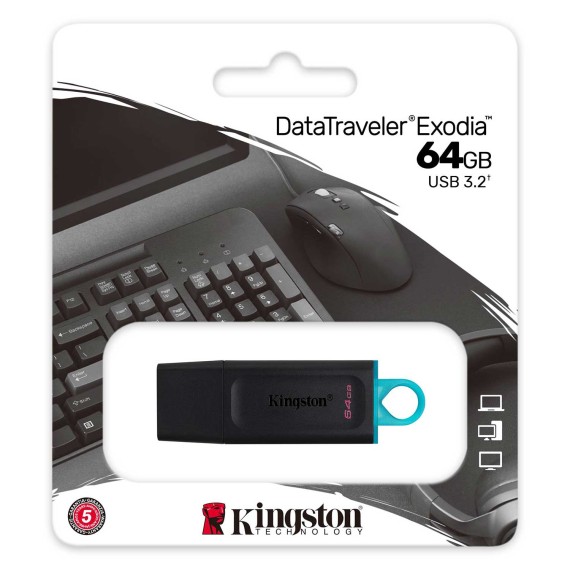 Ֆլեշ հիշողություններ KINGSTON DTX/64GB 