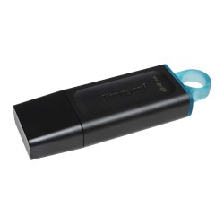 Флеш накопители KINGSTON DTX/64GB 