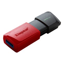 Флеш накопители KINGSTON DTXM/128GB 
