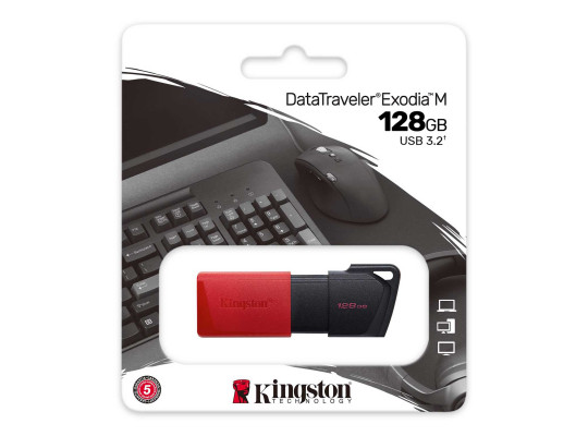 Flash drive KINGSTON DTXM/128GB 