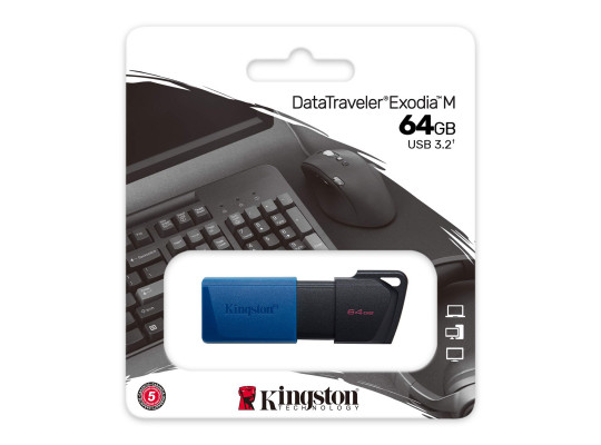 Flash drive KINGSTON DTXM/64GB 