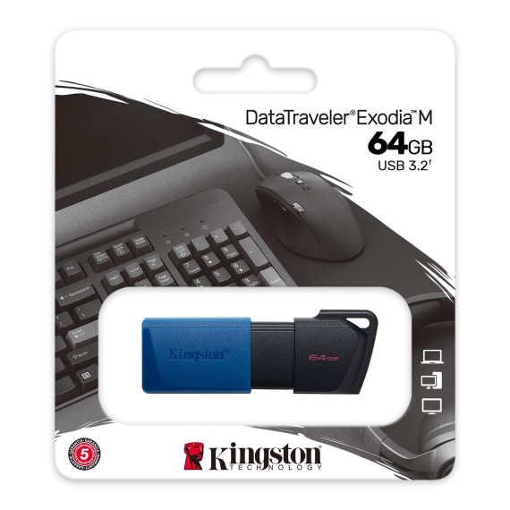 Ֆլեշ հիշողություններ KINGSTON DTXM/64GB 