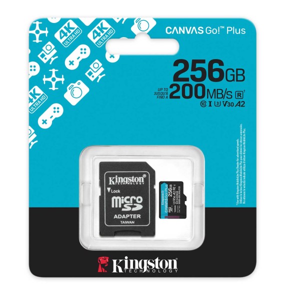 Карты памяти KINGSTON SDCG4/256GB 