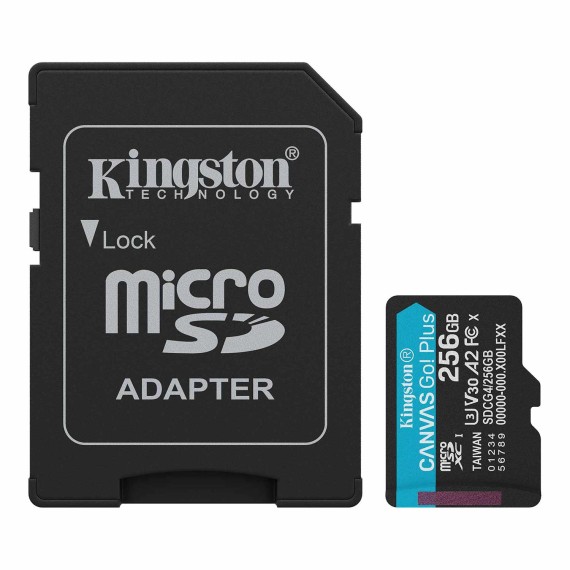 Карты памяти KINGSTON SDCG4/256GB 