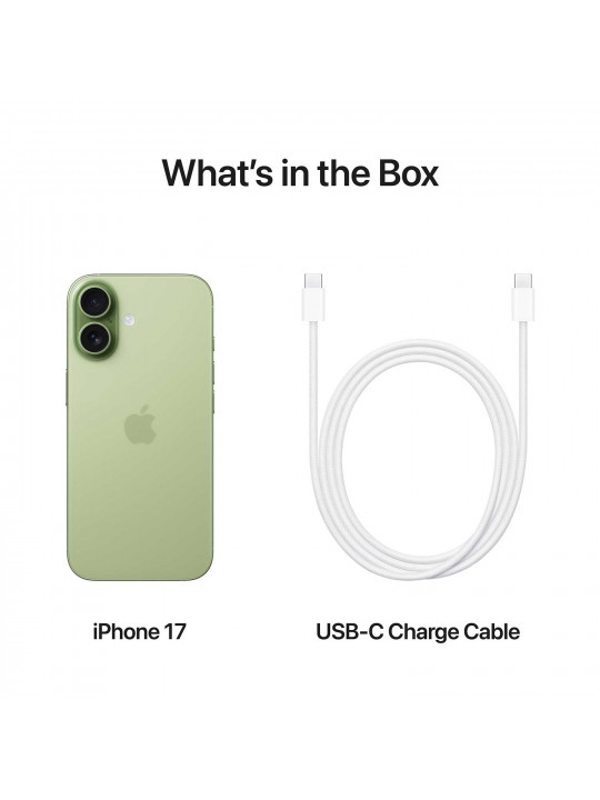 Սմարթ հեռախոս APPLE iPhone 17 256GB (Sage) (A3520) (MG6N4AF/A)