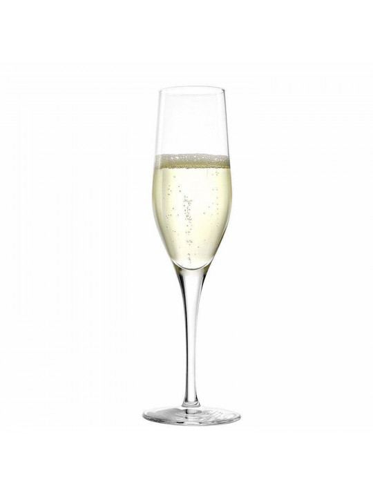 Cup STOLZLE LAUSITZ 147 00 07 CHAMPAGNE GLASS EXQUISIT 175ML (109798)