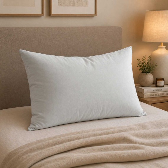 Pillow VETEXUS PR 50X70 SI 850 