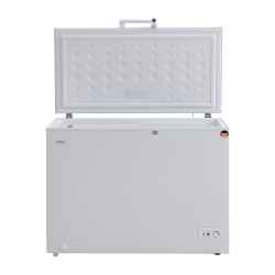 Chest freezer BERG BCF-D302WL 