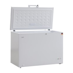 Chest freezer BERG BCF-D302WL 