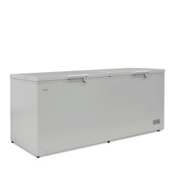 Chest freezer BERG BCF-D708W 