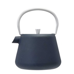 Kettles/tea makers KOOPMAN C82000040 TEAPOT IRON 1L GREY (830492)