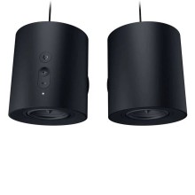 Համակարգչային բարձրախոս RAZER Nommo V2 X  (Black) (RZ05-04760100-R3G1)