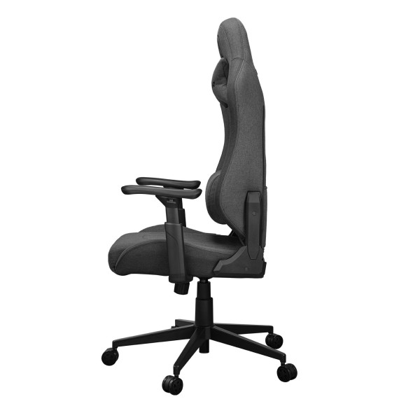 Gaming chair COUGAR Explore Royal (Gray F) (MEPFROG.0001)