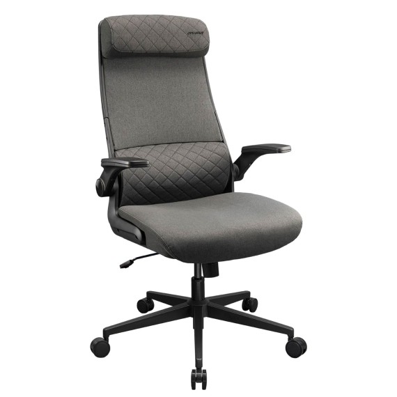 Gaming chair COUGAR Stryder (Gray) (3MSTDGRB.0001)