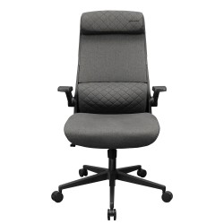 Gaming chair COUGAR Stryder (Gray) (3MSTDGRB.0001)